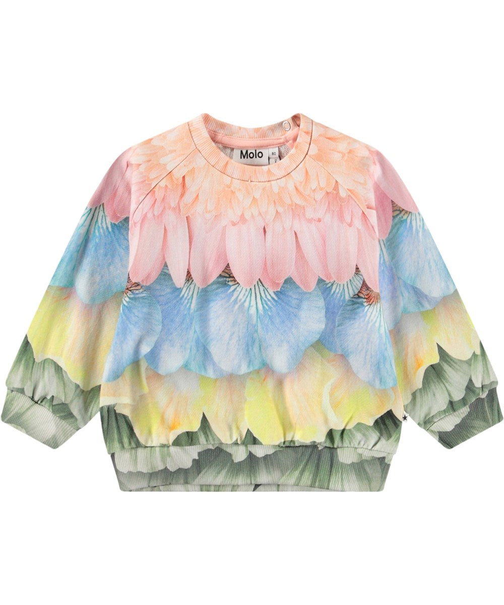 Disc Petal Rainbow Sweatshirt GOTS