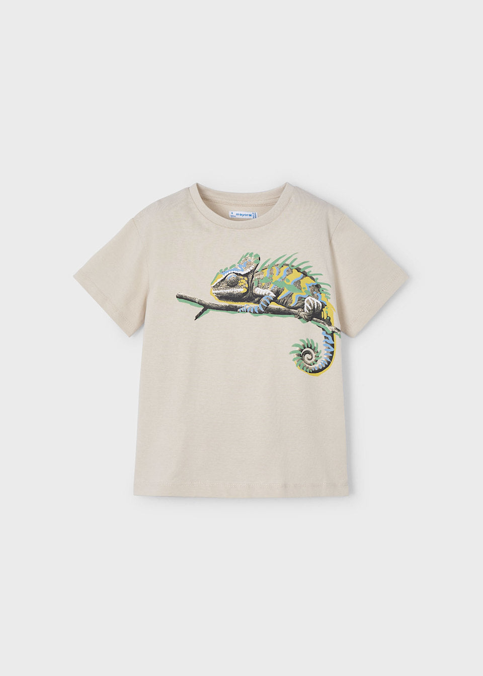 Chameleon Graphic T